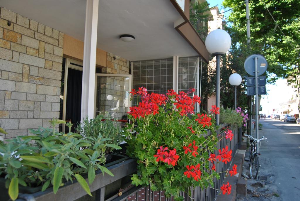 Le Aromatiche B&B Viserbella di Rimini Dış mekan fotoğraf